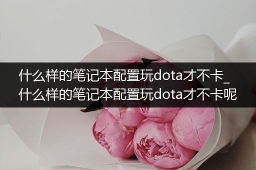 什么样的笔记本配置玩dota才不卡_什么样的笔记本配置玩dota才不卡呢