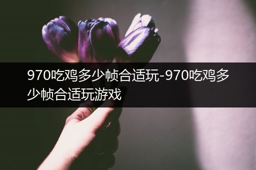 970吃鸡多少帧合适玩-970吃鸡多少帧合适玩游戏