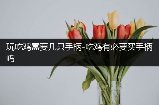 玩吃鸡需要几只手柄-吃鸡有必要买手柄吗
