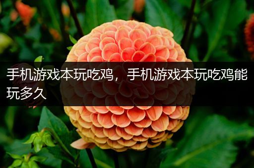 手机游戏本玩吃鸡，手机游戏本玩吃鸡能玩多久