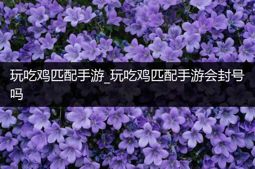 玩吃鸡匹配手游_玩吃鸡匹配手游会封号吗