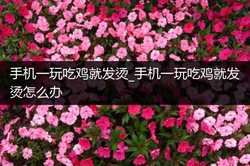 手机一玩吃鸡就发烫_手机一玩吃鸡就发烫怎么办