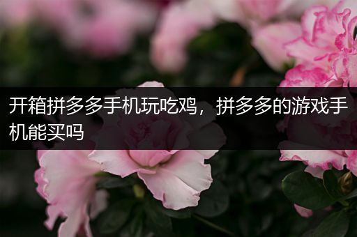 开箱拼多多手机玩吃鸡，拼多多的游戏手机能买吗