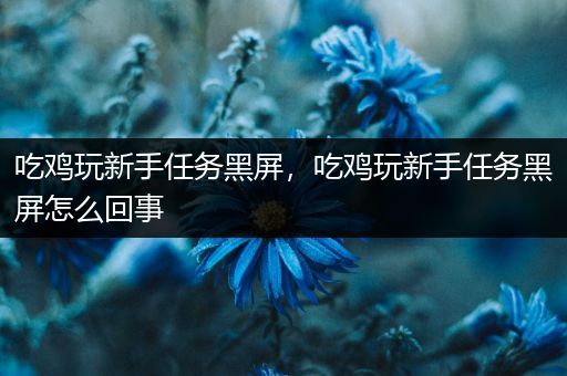 吃鸡玩新手任务黑屏，吃鸡玩新手任务黑屏怎么回事