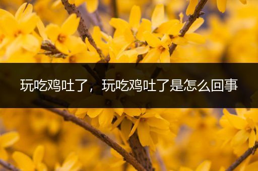 玩吃鸡吐了，玩吃鸡吐了是怎么回事