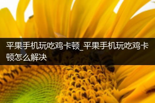 平果手机玩吃鸡卡顿_平果手机玩吃鸡卡顿怎么解决