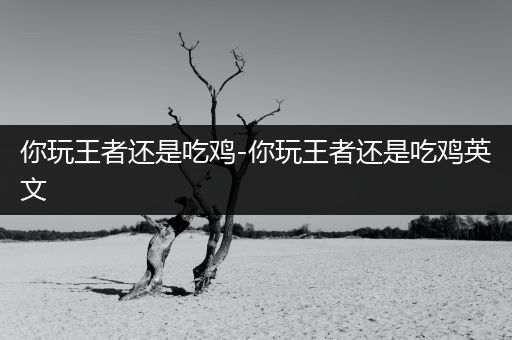 你玩王者还是吃鸡-你玩王者还是吃鸡英文