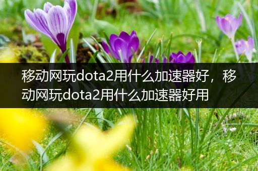 移动网玩dota2用什么加速器好，移动网玩dota2用什么加速器好用