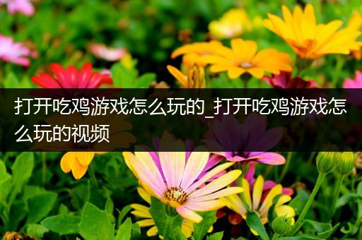 打开吃鸡游戏怎么玩的_打开吃鸡游戏怎么玩的视频