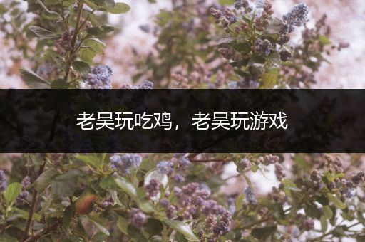 老吴玩吃鸡，老吴玩游戏