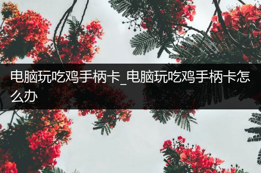 电脑玩吃鸡手柄卡_电脑玩吃鸡手柄卡怎么办