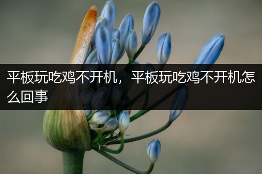 平板玩吃鸡不开机，平板玩吃鸡不开机怎么回事