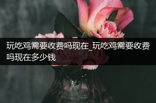 玩吃鸡需要收费吗现在_玩吃鸡需要收费吗现在多少钱