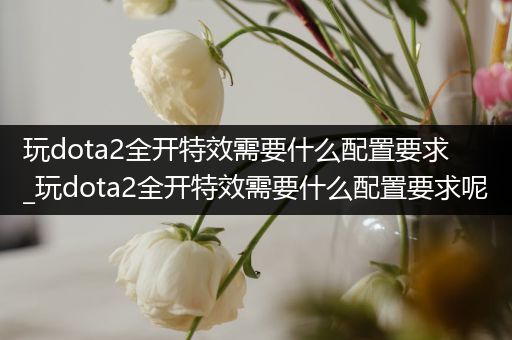 玩dota2全开特效需要什么配置要求_玩dota2全开特效需要什么配置要求呢
