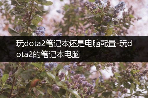 玩dota2笔记本还是电脑配置-玩dota2的笔记本电脑