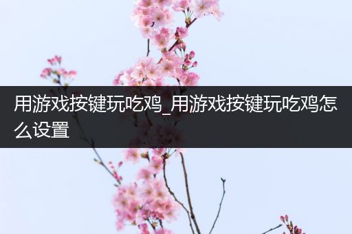 用游戏按键玩吃鸡_用游戏按键玩吃鸡怎么设置