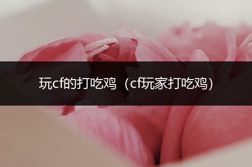 玩cf的打吃鸡（cf玩家打吃鸡）