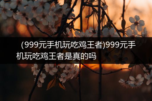 （999元手机玩吃鸡王者)999元手机玩吃鸡王者是真的吗