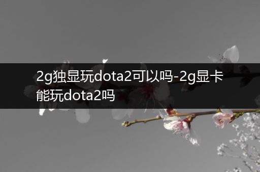 2g独显玩dota2可以吗-2g显卡能玩dota2吗