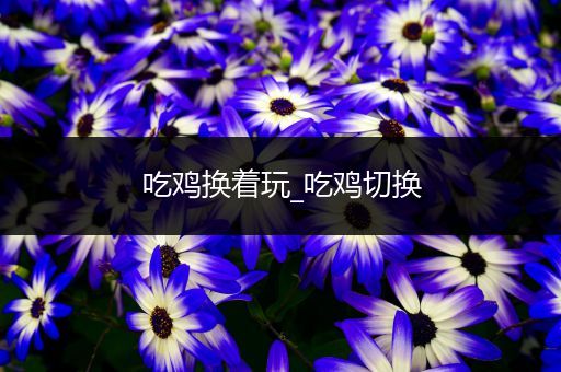 吃鸡换着玩_吃鸡切换