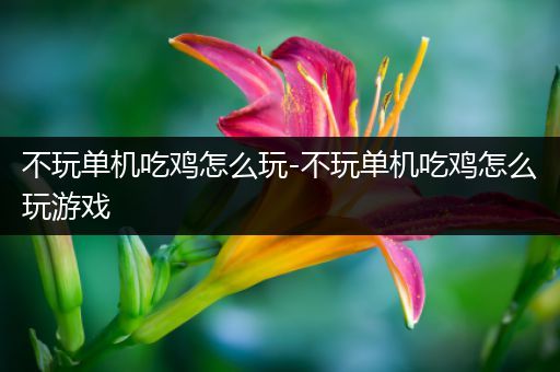 不玩单机吃鸡怎么玩-不玩单机吃鸡怎么玩游戏