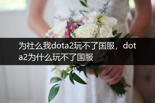 为社么我dota2玩不了国服，dota2为什么玩不了国服