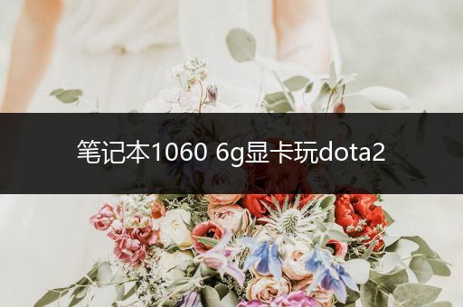 笔记本1060 6g显卡玩dota2