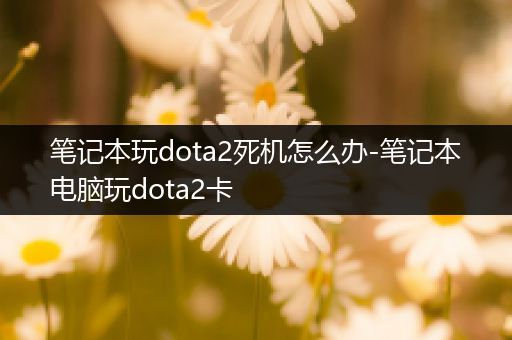 笔记本玩dota2死机怎么办-笔记本电脑玩dota2卡
