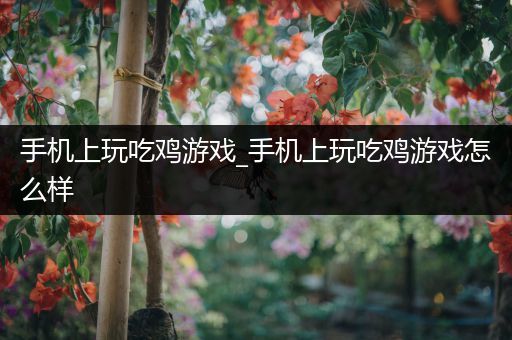 手机上玩吃鸡游戏_手机上玩吃鸡游戏怎么样