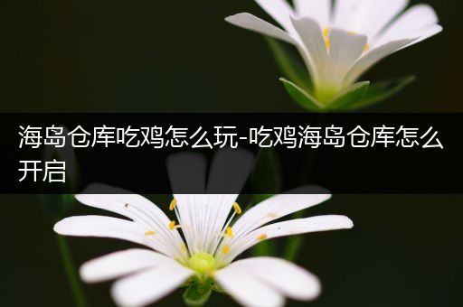 海岛仓库吃鸡怎么玩-吃鸡海岛仓库怎么开启