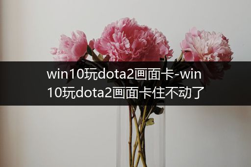 win10玩dota2画面卡-win10玩dota2画面卡住不动了