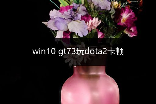 win10 gt73玩dota2卡顿