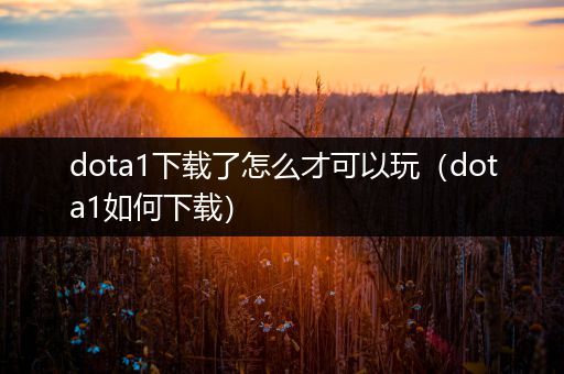 dota1下载了怎么才可以玩（dota1如何下载）