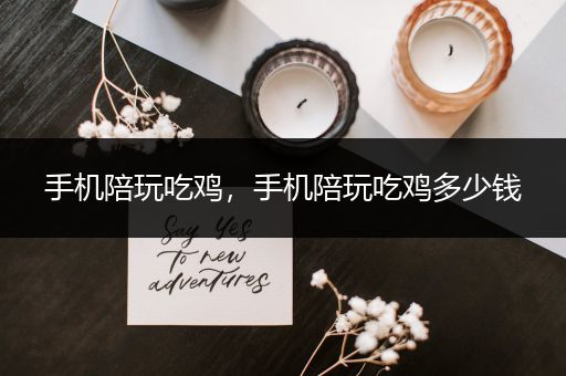 手机陪玩吃鸡，手机陪玩吃鸡多少钱