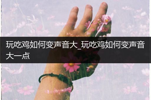 玩吃鸡如何变声音大_玩吃鸡如何变声音大一点