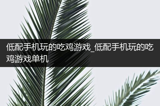 低配手机玩的吃鸡游戏_低配手机玩的吃鸡游戏单机