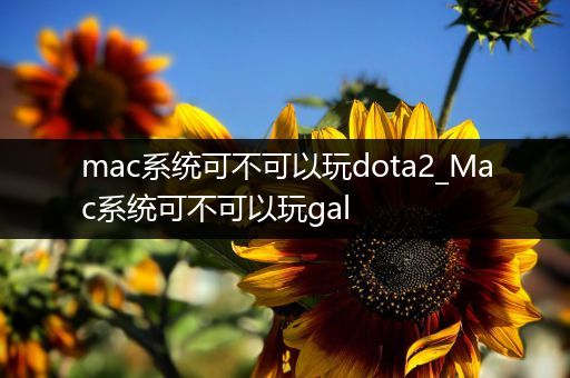 mac系统可不可以玩dota2_Mac系统可不可以玩gal