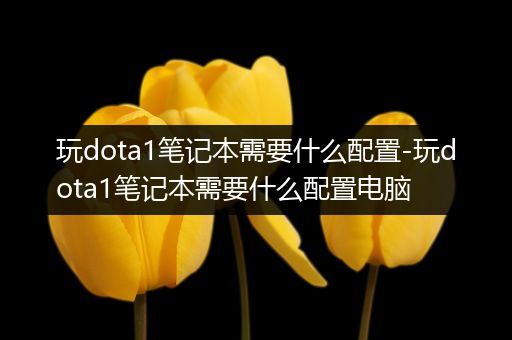 玩dota1笔记本需要什么配置-玩dota1笔记本需要什么配置电脑