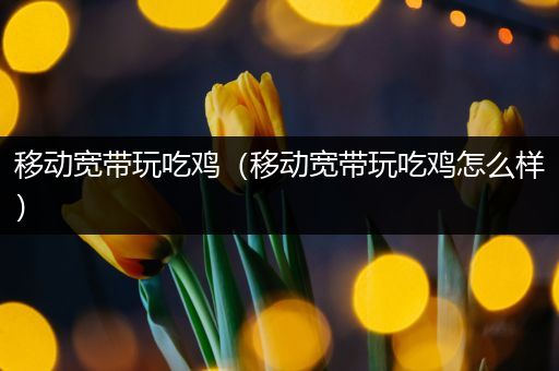 移动宽带玩吃鸡（移动宽带玩吃鸡怎么样）