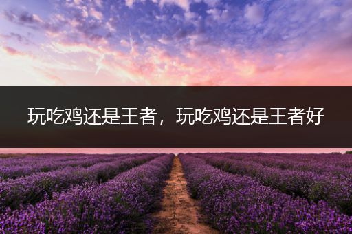 玩吃鸡还是王者，玩吃鸡还是王者好