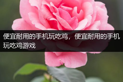 便宜耐用的手机玩吃鸡，便宜耐用的手机玩吃鸡游戏