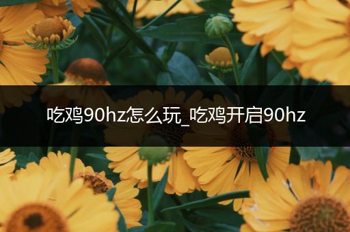 吃鸡90hz怎么玩_吃鸡开启90hz