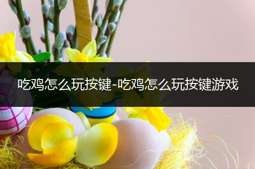 吃鸡怎么玩按键-吃鸡怎么玩按键游戏