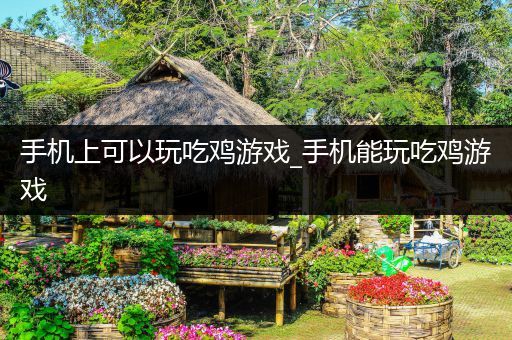 手机上可以玩吃鸡游戏_手机能玩吃鸡游戏
