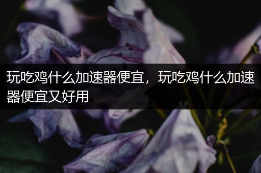 玩吃鸡什么加速器便宜，玩吃鸡什么加速器便宜又好用