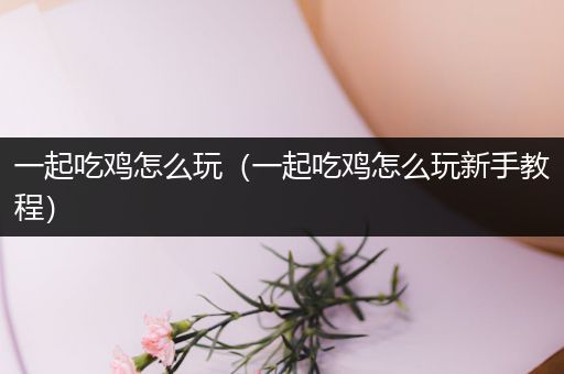 一起吃鸡怎么玩（一起吃鸡怎么玩新手教程）