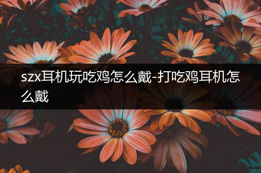 szx耳机玩吃鸡怎么戴-打吃鸡耳机怎么戴