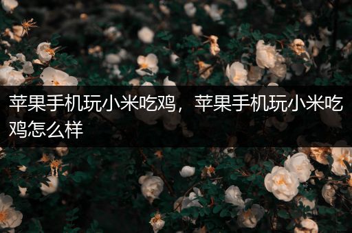 苹果手机玩小米吃鸡，苹果手机玩小米吃鸡怎么样