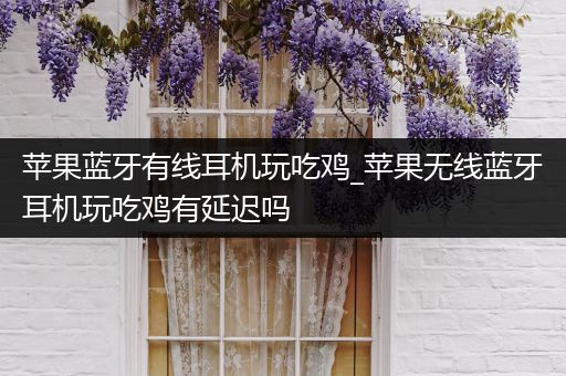 苹果蓝牙有线耳机玩吃鸡_苹果无线蓝牙耳机玩吃鸡有延迟吗