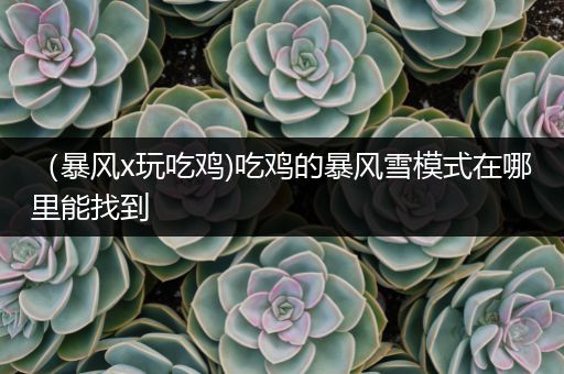 （暴风x玩吃鸡)吃鸡的暴风雪模式在哪里能找到